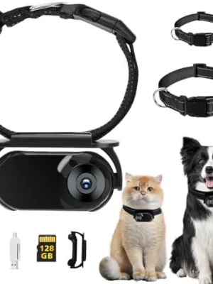 Pet Camera Collar