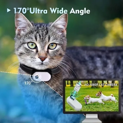 Pet Camera Collar