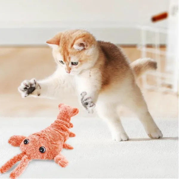 Pet pro interactive toys