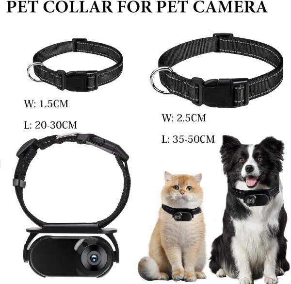 Pet Camera Collar