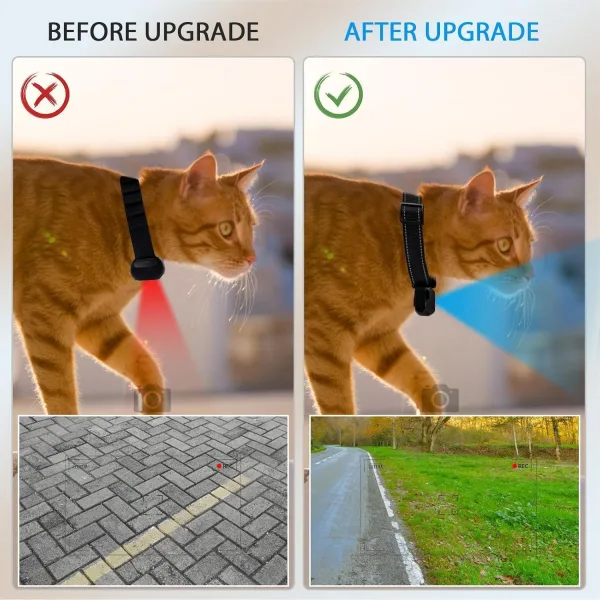 Pet Camera Collar